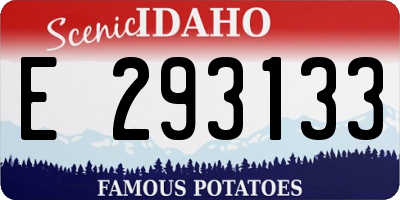ID license plate E293133