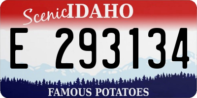 ID license plate E293134