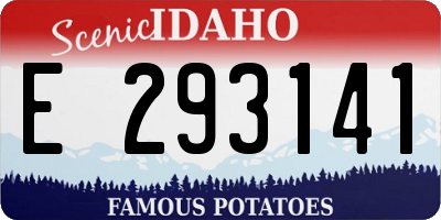 ID license plate E293141