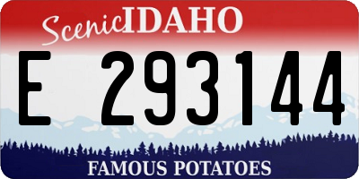 ID license plate E293144