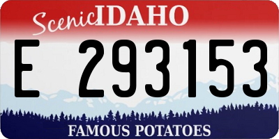 ID license plate E293153
