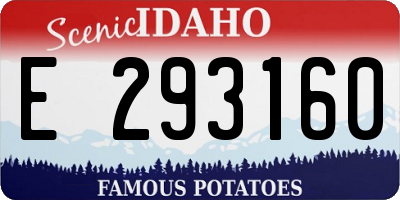 ID license plate E293160