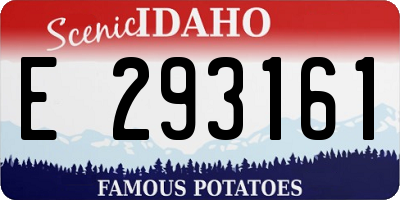 ID license plate E293161