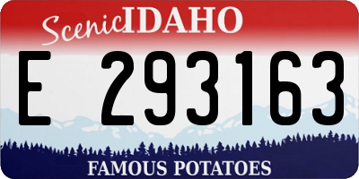 ID license plate E293163