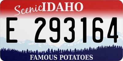 ID license plate E293164