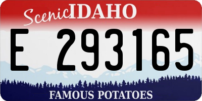 ID license plate E293165