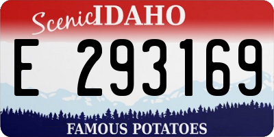 ID license plate E293169