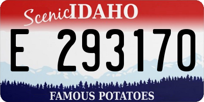 ID license plate E293170