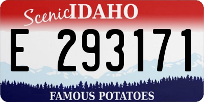 ID license plate E293171