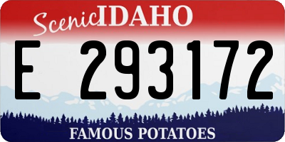 ID license plate E293172