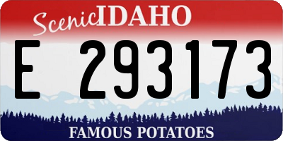 ID license plate E293173