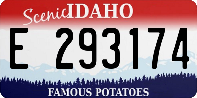 ID license plate E293174
