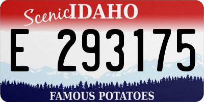 ID license plate E293175