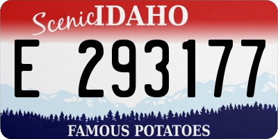 ID license plate E293177