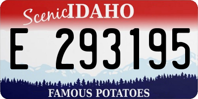 ID license plate E293195