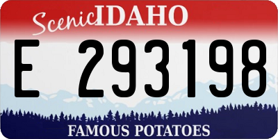 ID license plate E293198
