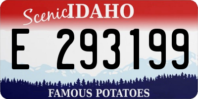 ID license plate E293199