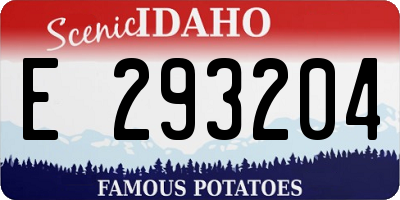 ID license plate E293204