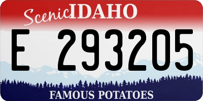 ID license plate E293205