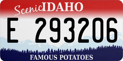 ID license plate E293206