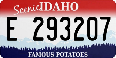 ID license plate E293207