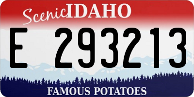 ID license plate E293213