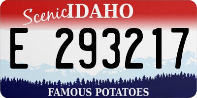 ID license plate E293217
