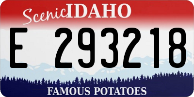 ID license plate E293218
