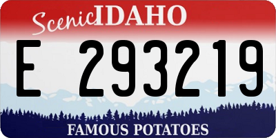 ID license plate E293219