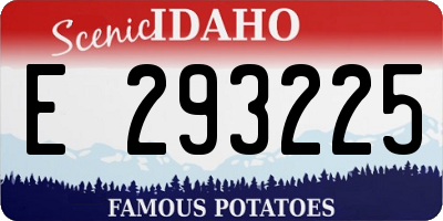 ID license plate E293225