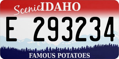 ID license plate E293234