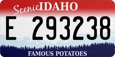 ID license plate E293238