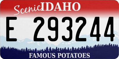 ID license plate E293244