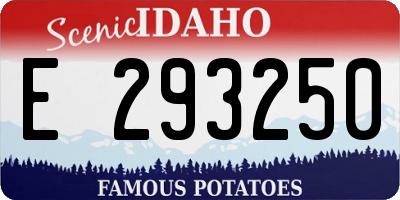 ID license plate E293250