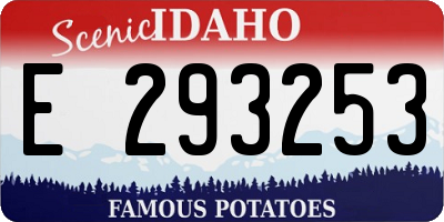 ID license plate E293253