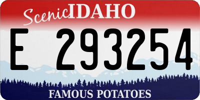 ID license plate E293254