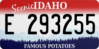 ID license plate E293255