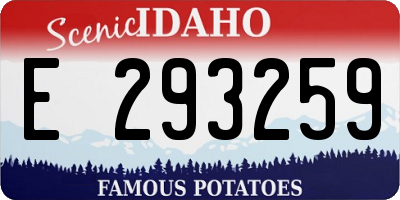ID license plate E293259