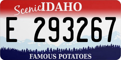 ID license plate E293267