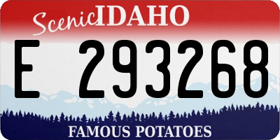 ID license plate E293268