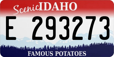 ID license plate E293273