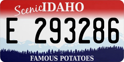 ID license plate E293286