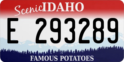 ID license plate E293289
