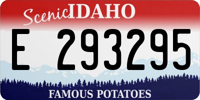ID license plate E293295