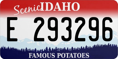ID license plate E293296