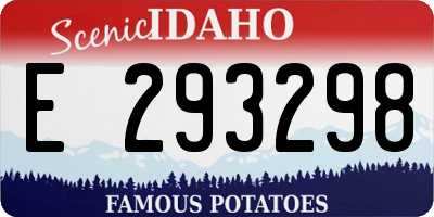 ID license plate E293298