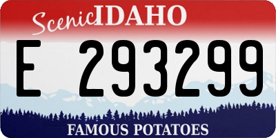 ID license plate E293299