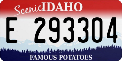 ID license plate E293304