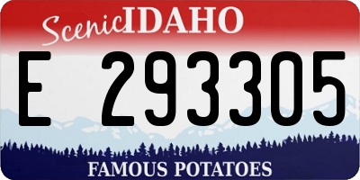 ID license plate E293305