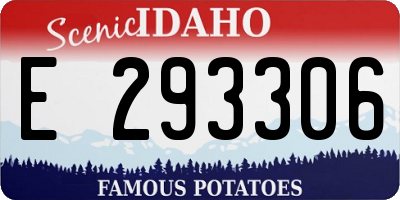 ID license plate E293306